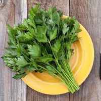 Flat_leaf_parsley